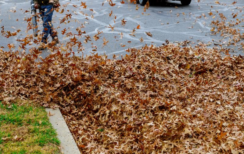 Leaf Removal in Action