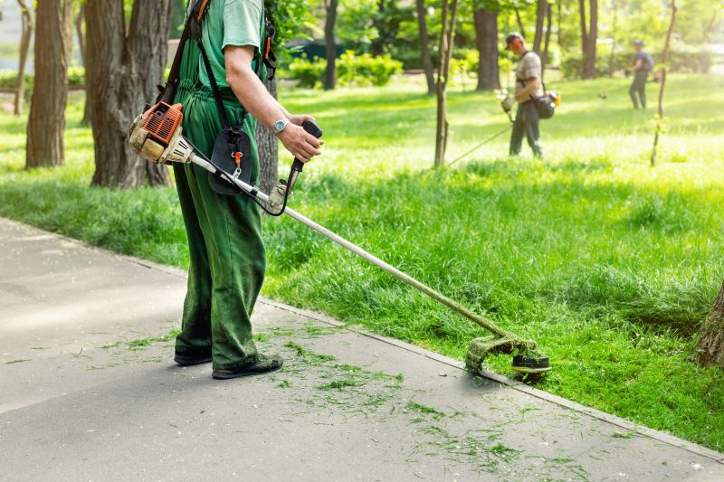 Who Does Lawn Clean Up Service
