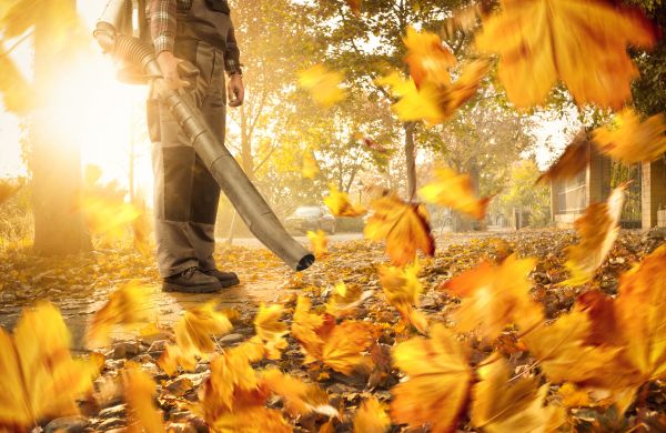 Leaf Blowing Service in Fort Myers
