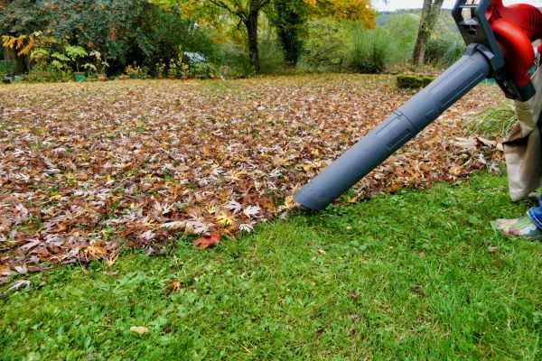 Leaf Vacuuming Service in Fort Myers