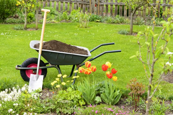 Spring Yard Cleanup in Fort Myers