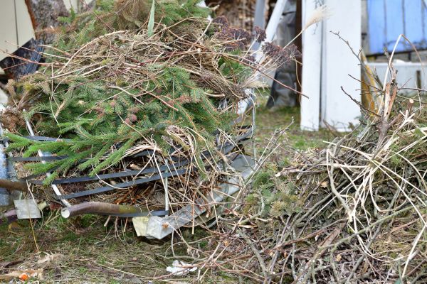 Yard Waste Removal Service in Fort Myers