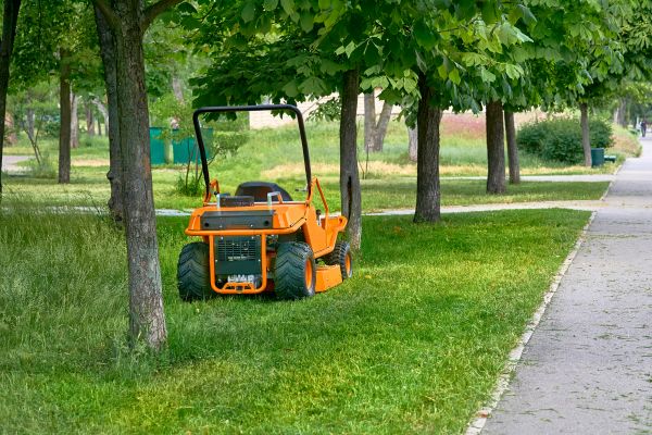 Landscaping Cleanup Service in Fort Myers