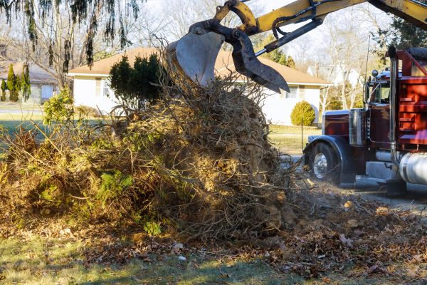 Storm Debris Removal in Fort Myers