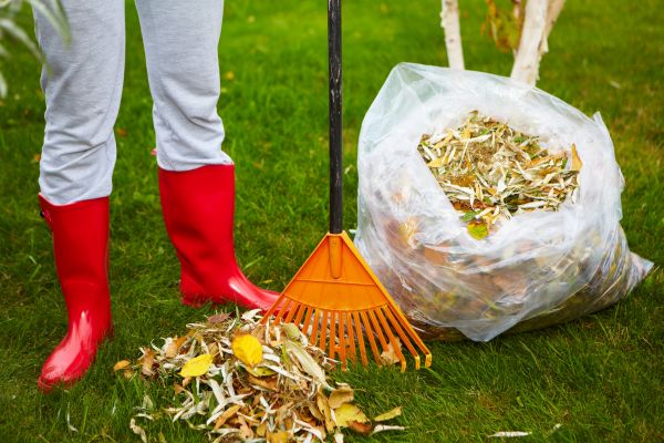 Leaf Disposal Service in Fort Myers