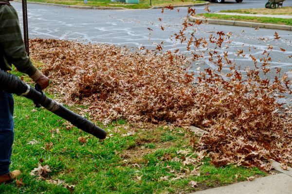Garden Leaf Removal in Fort Myers
