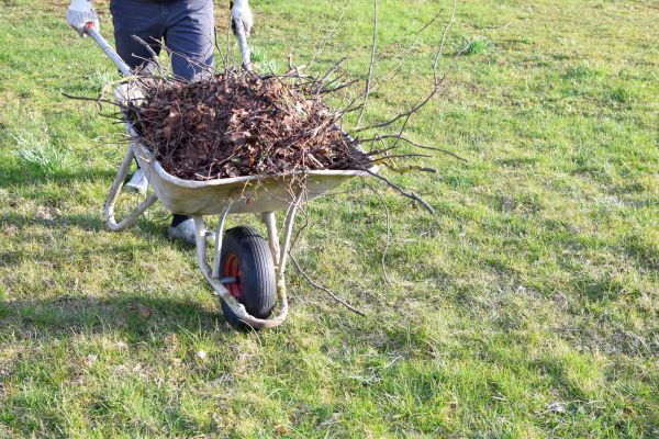 Yard Brush Removal in Fort Myers