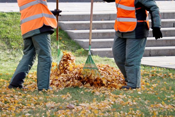 Leaf Hauling Service in Fort Myers
