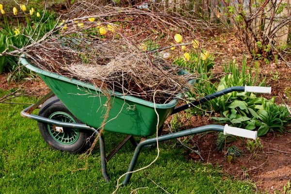 Lawn Waste Removal in Fort Myers