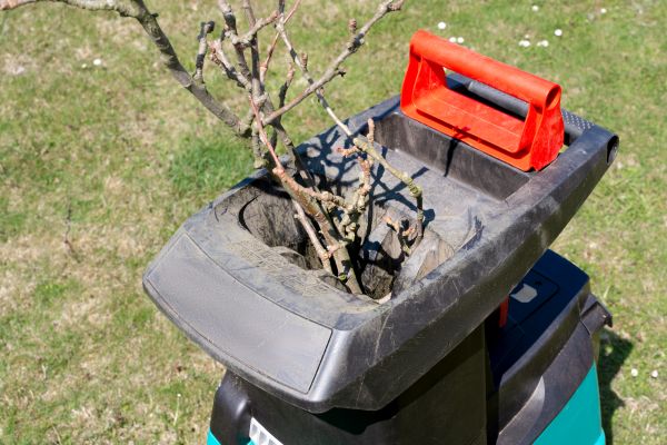 Cost of Brush Cleanup Service in Fort Myers