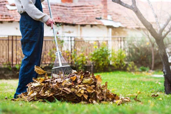 Fall Yard Cleanup Service in Fort Myers