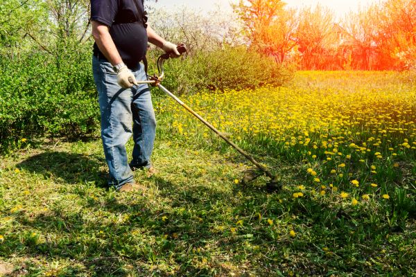 Yard Clearing Service in Fort Myers