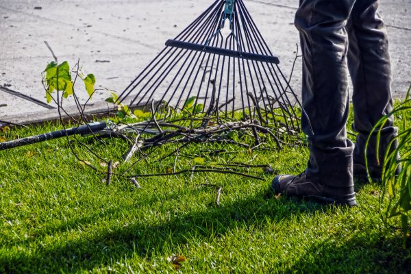 Yard Debris Cleanup in Fort Myers