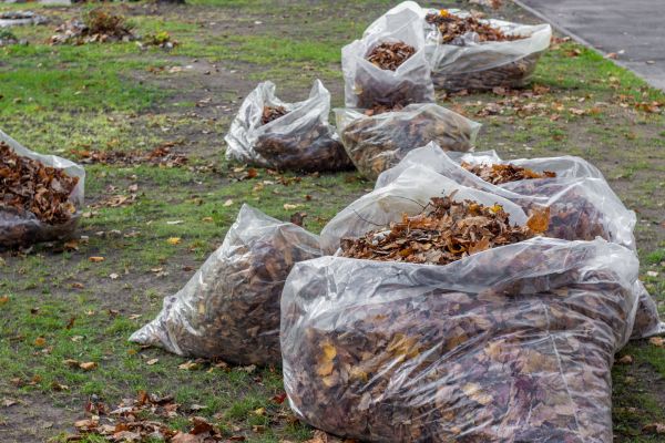 Leaf Pile Disposal in Fort Myers