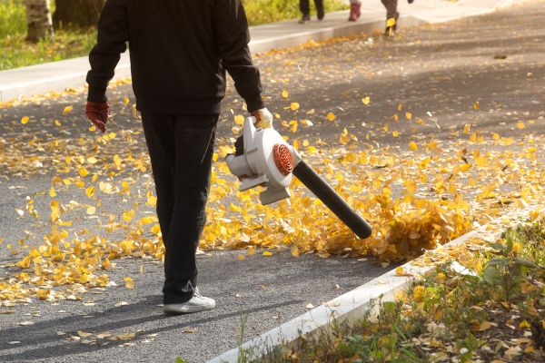 Commercial Leaf Removal in Fort Myers